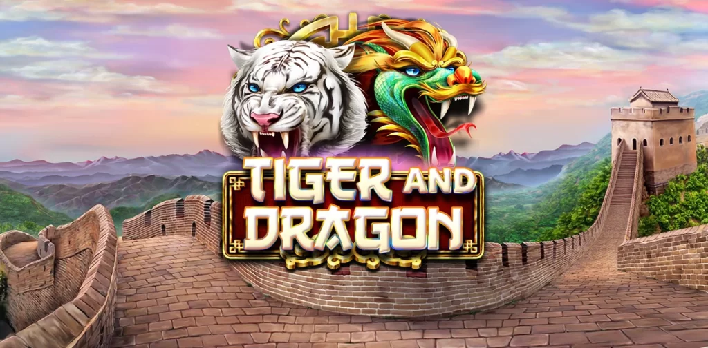 Regras básicas do jogo dragão tigre que você precisa saber